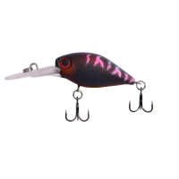 054